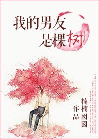 我的男友是棵樹