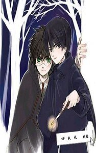 （HP同人）HP極夜