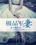 《极品军妻》