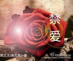 （BL-HP同人）HP禁爱