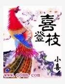 喜登枝