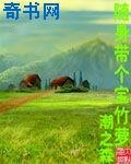 隨身帶個寶竹籮
