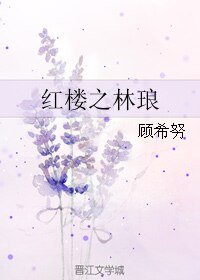 （BG/紅樓同人）紅樓之林琅