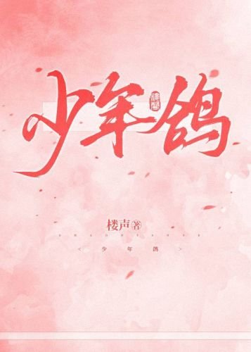 少年鴿
