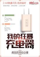 《我的狂暴充電器》