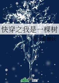 快穿之我是一棵樹