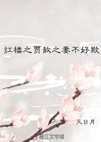 [红楼＋修真]贾赦之妻不好欺