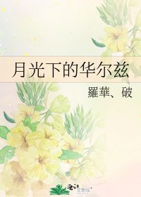 《月光下的华尔兹》
