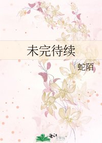 《未完待续》