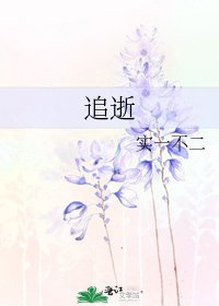 《追逝》