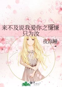 《來不及說我愛你之慊慊只為汝》
