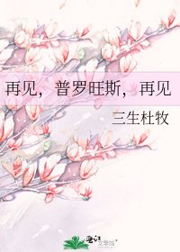 再见，普罗旺斯，再见