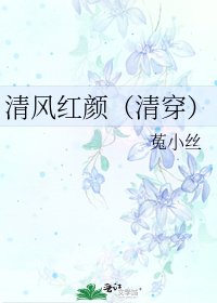 清风红颜(清穿)