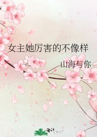 女主她厉害的不像样