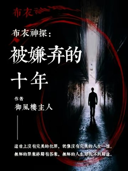 《布衣神探:被嫌棄的十年》