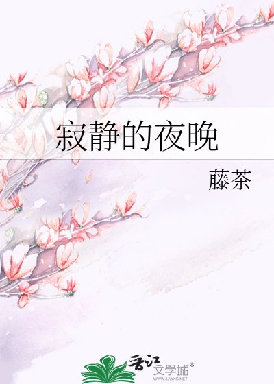 《寂静的夜晚》