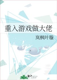 《重入游戏做大佬》
