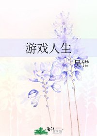 《游戏人生》