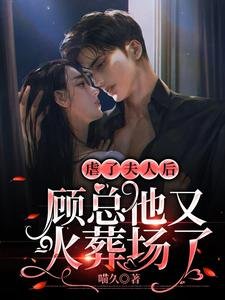 虐了夫人後，顧總他又火葬場了