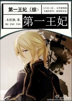 （BG/综漫同人）第一王妃