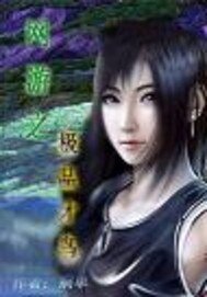 網遊之極品才鳥